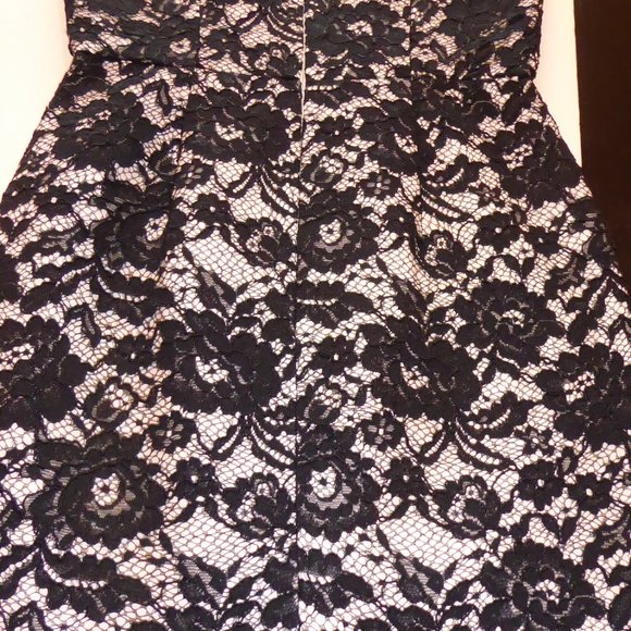 LK Bennett Lavinie White with Black Floral Lace Overlay Dress NWT USA Size 4 - Picture 10 of 14